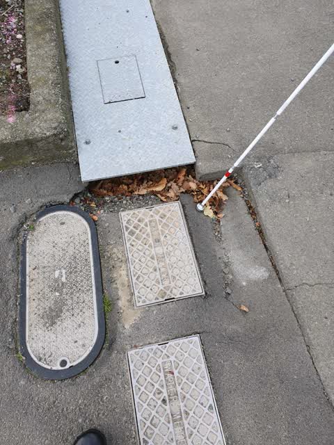 Roading/Streets, a report photo