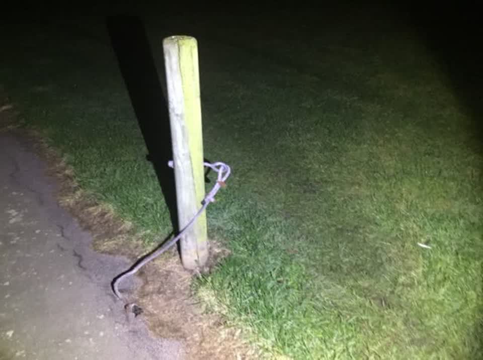 The photograph attached to this parks report