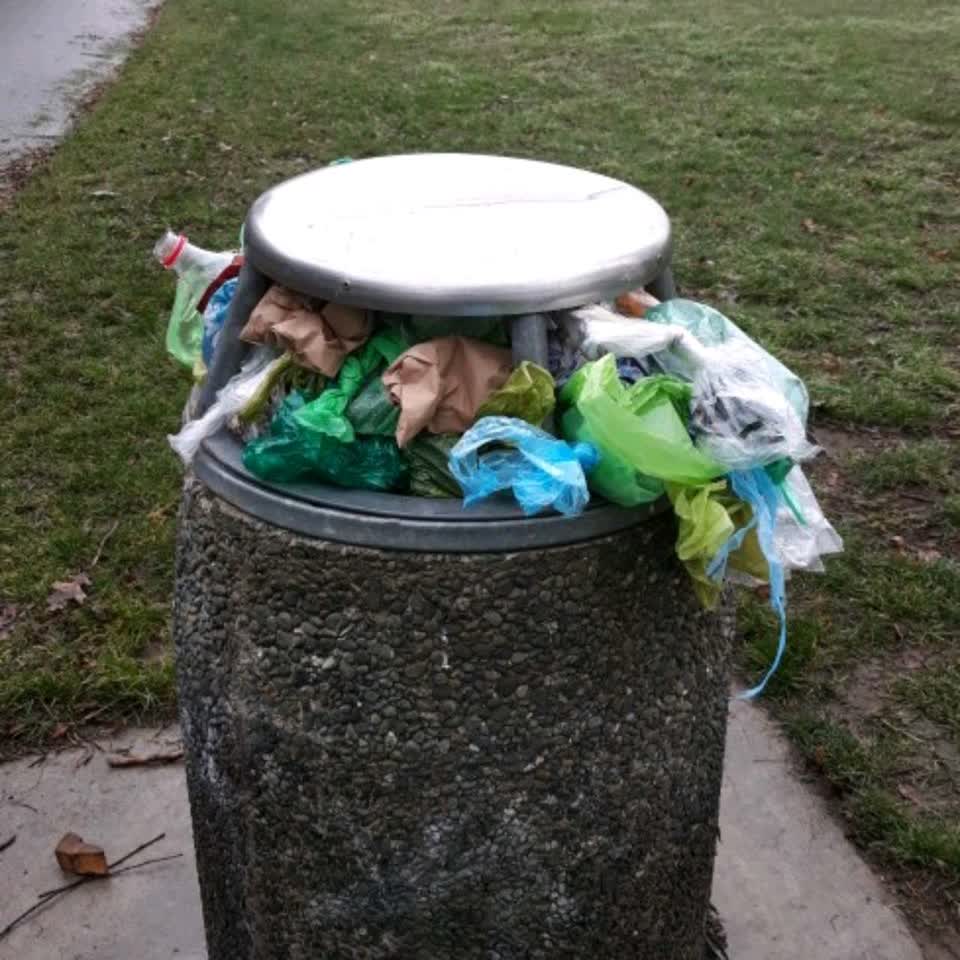 The photograph attached to this parks report