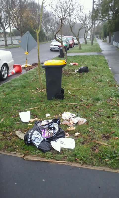 Rubbish/Recycling, a report photo