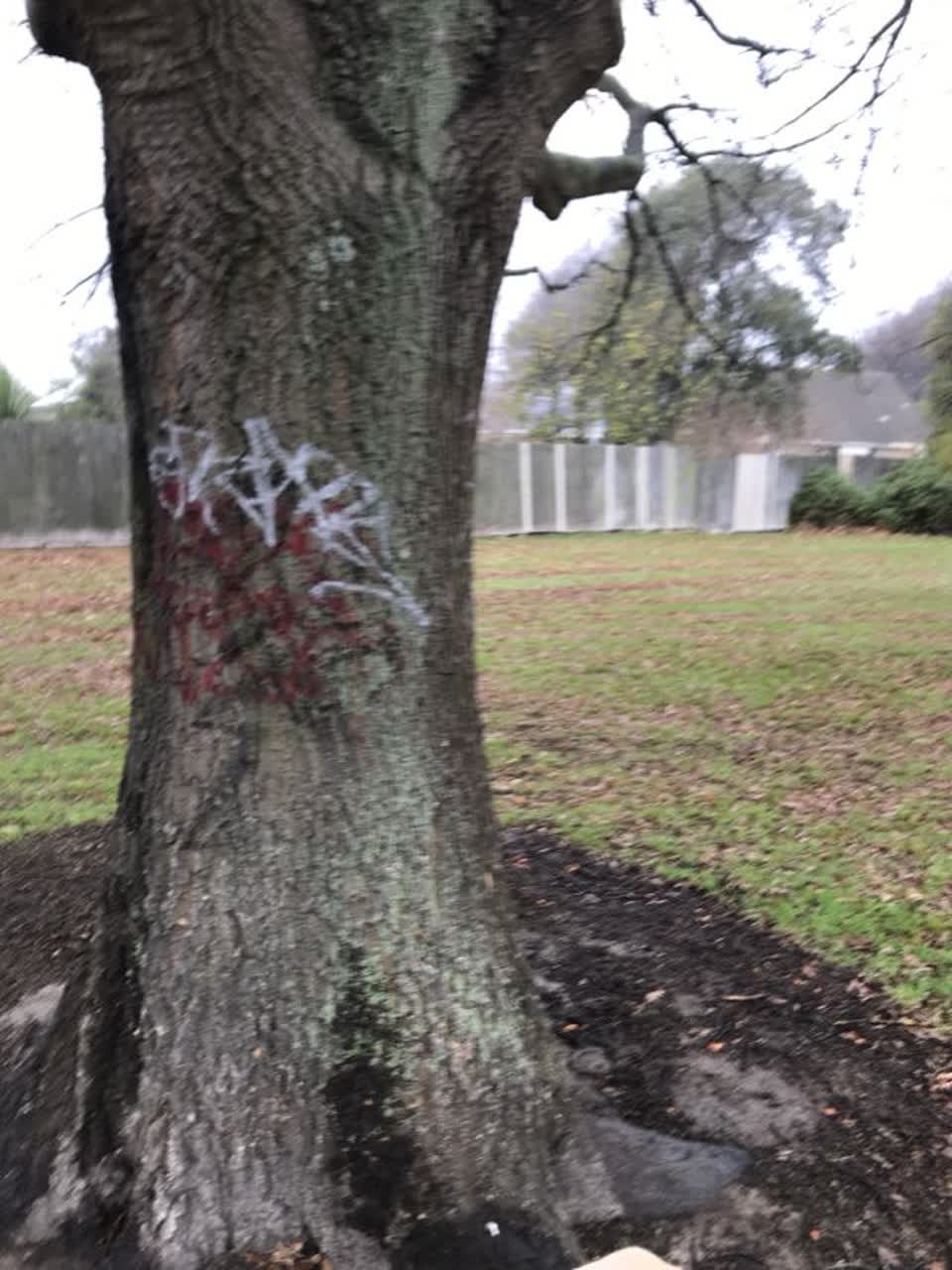 The photograph attached to this graffiti report