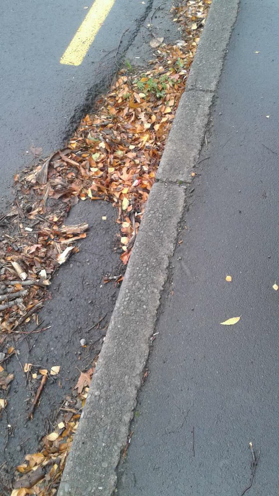 The photograph attached to this wastewater/stormwater report