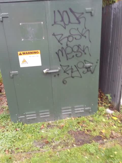Graffiti, a report photo