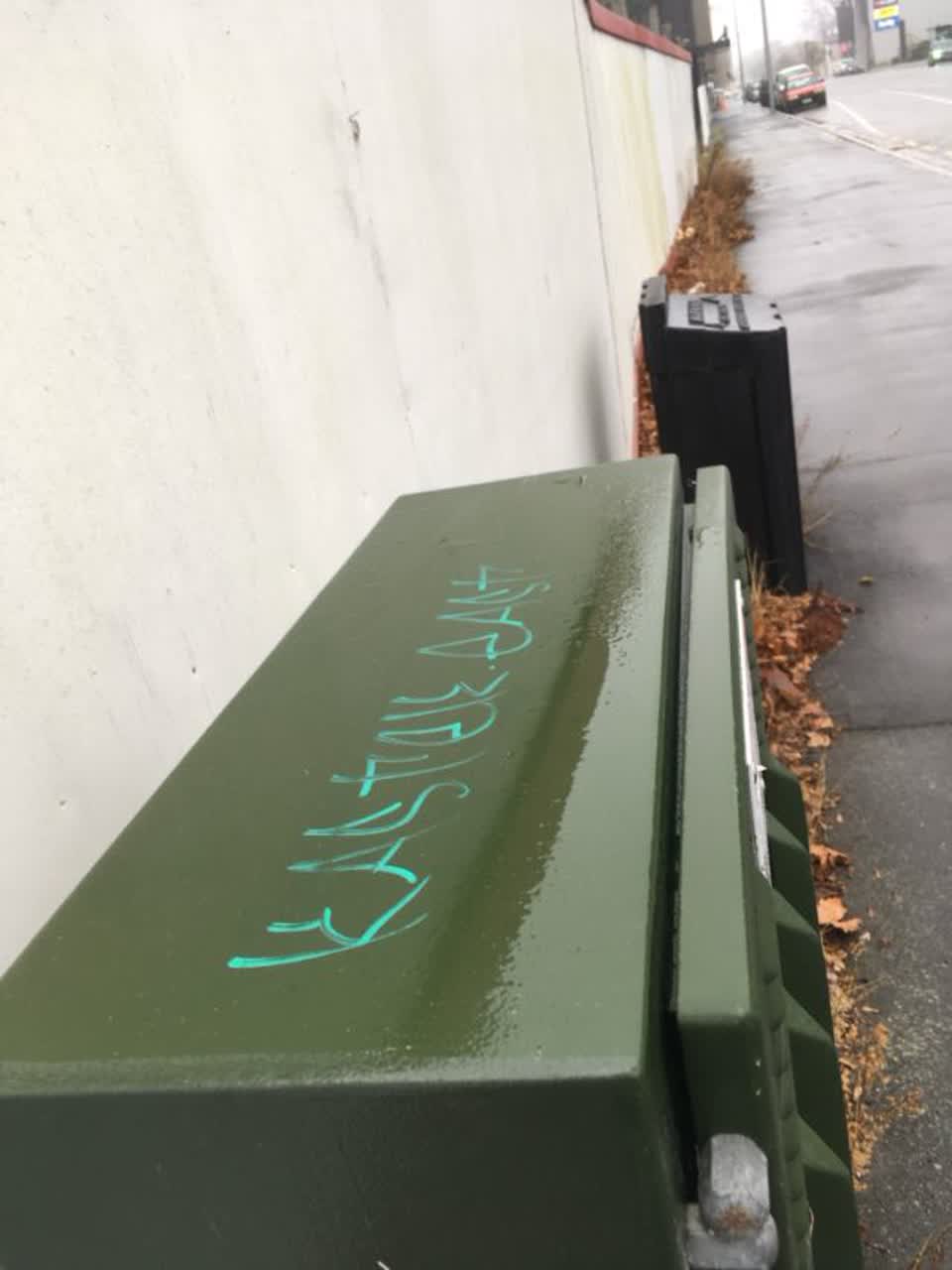 The photograph attached to this graffiti report