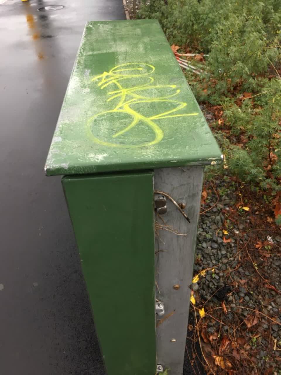 The photograph attached to this graffiti report