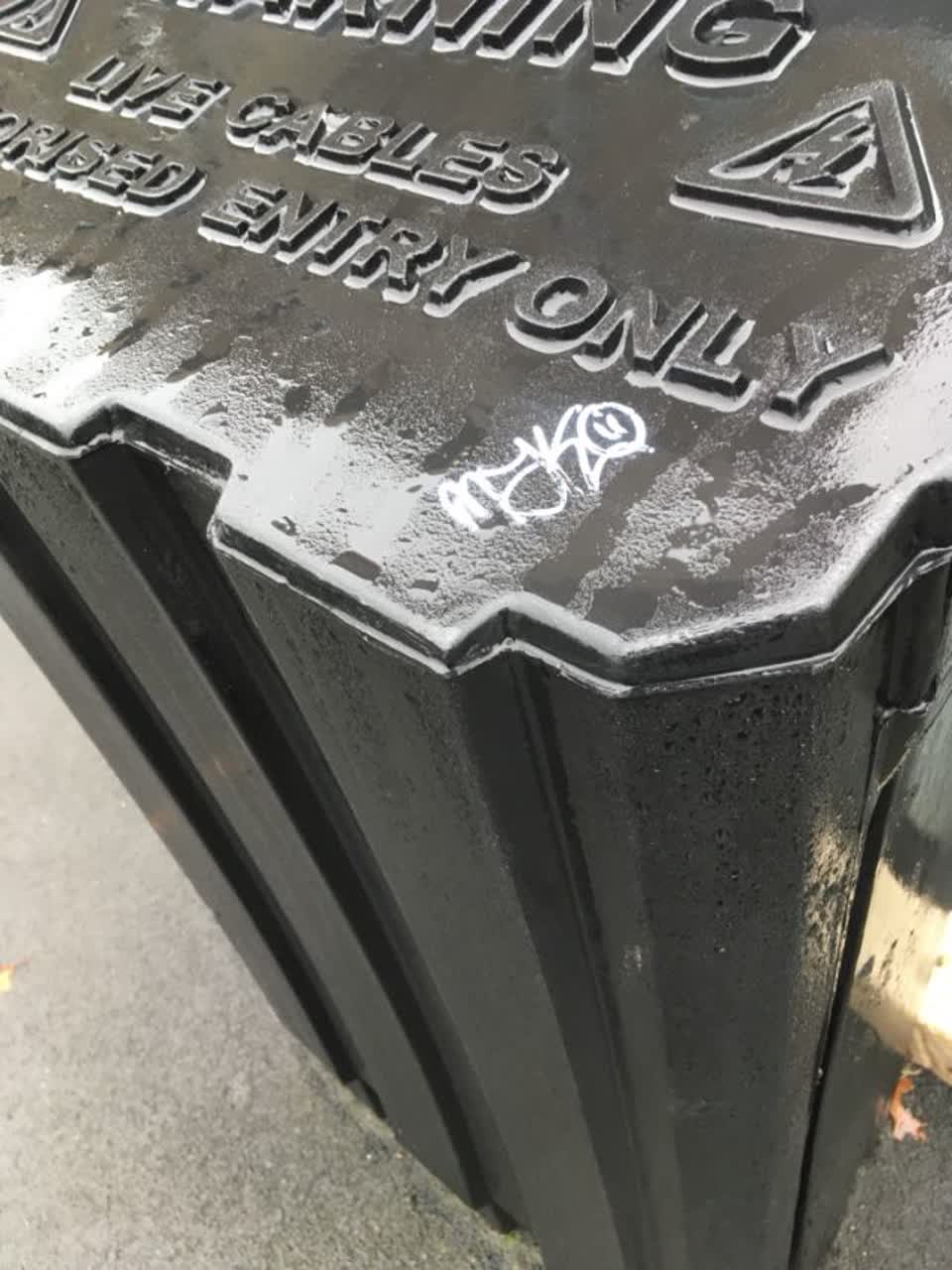 The photograph attached to this graffiti report