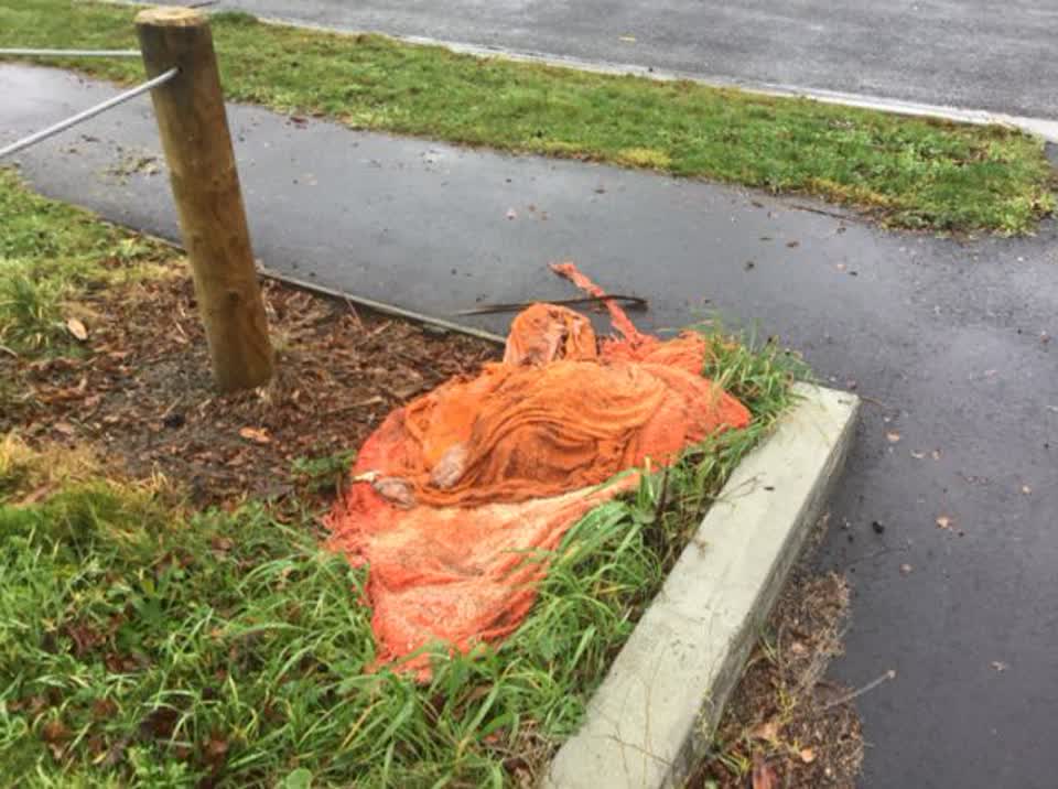 The photograph attached to this rubbish/recycling report
