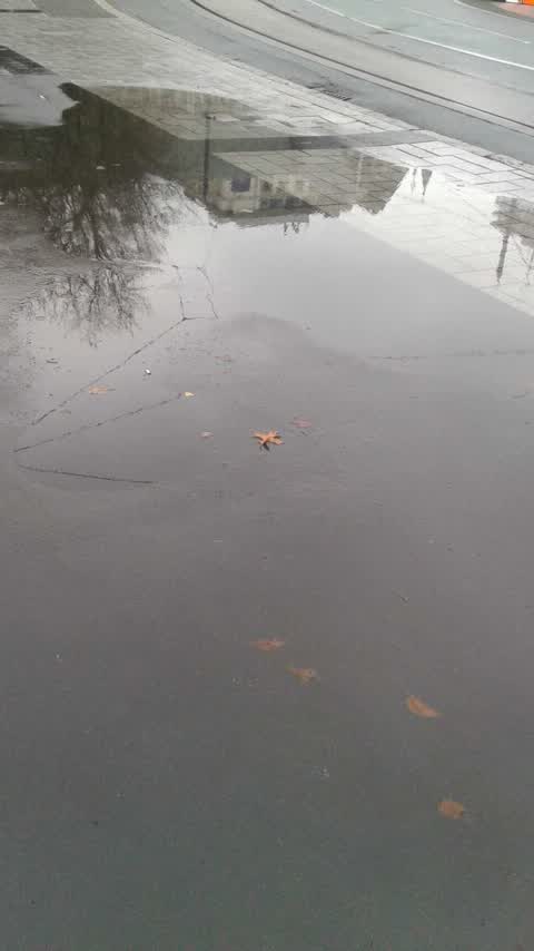 Flooding, a report photo