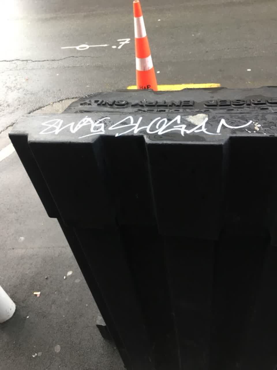 The photograph attached to this graffiti report