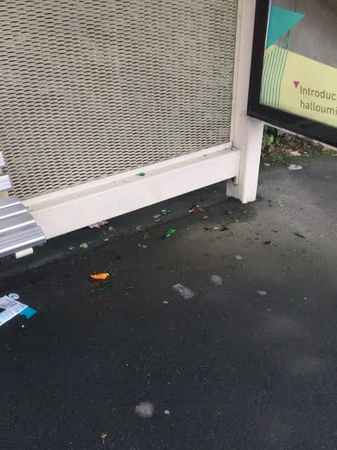 Rubbish/Recycling, a report photo