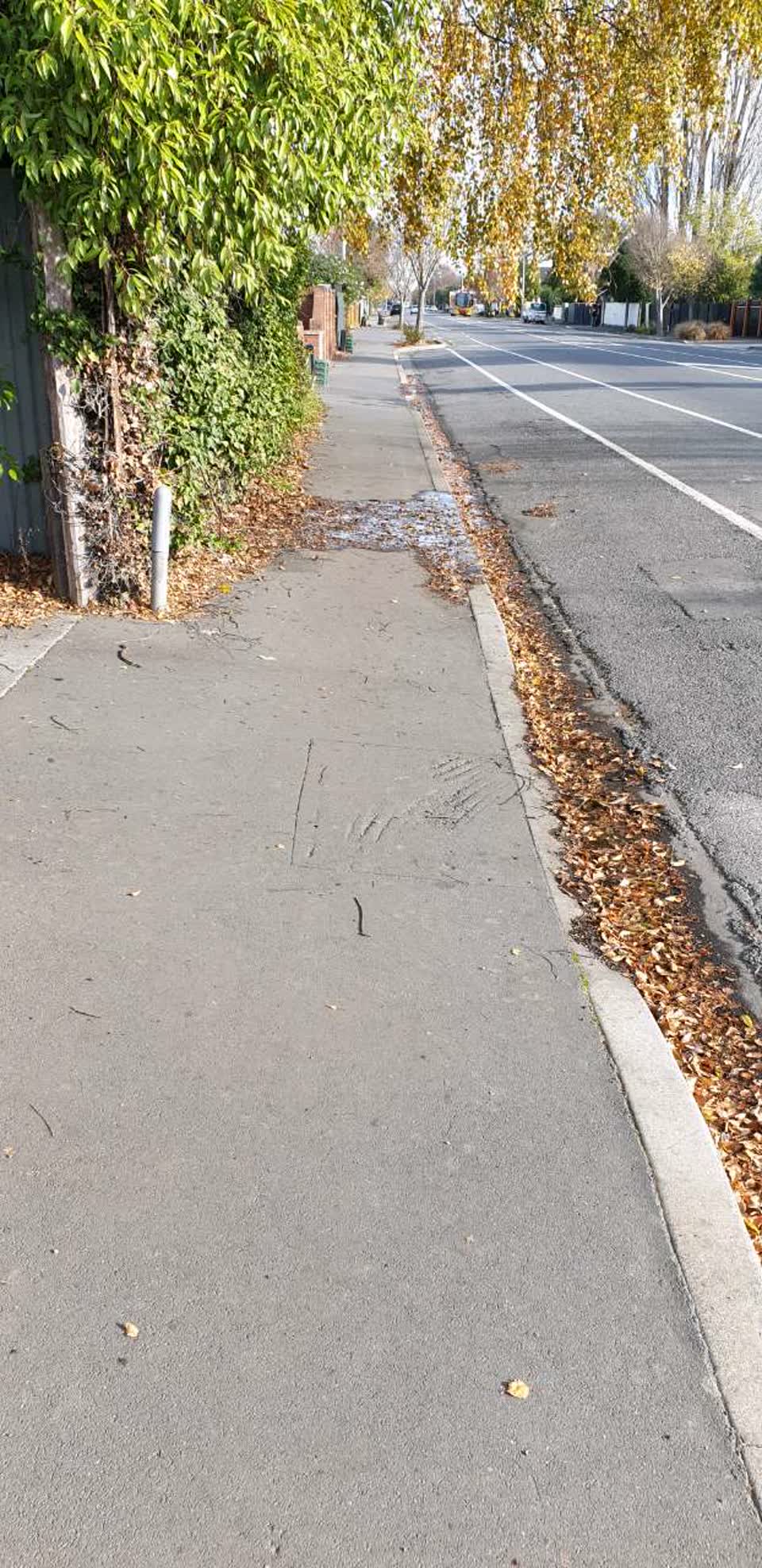 The photograph attached to this water supply report