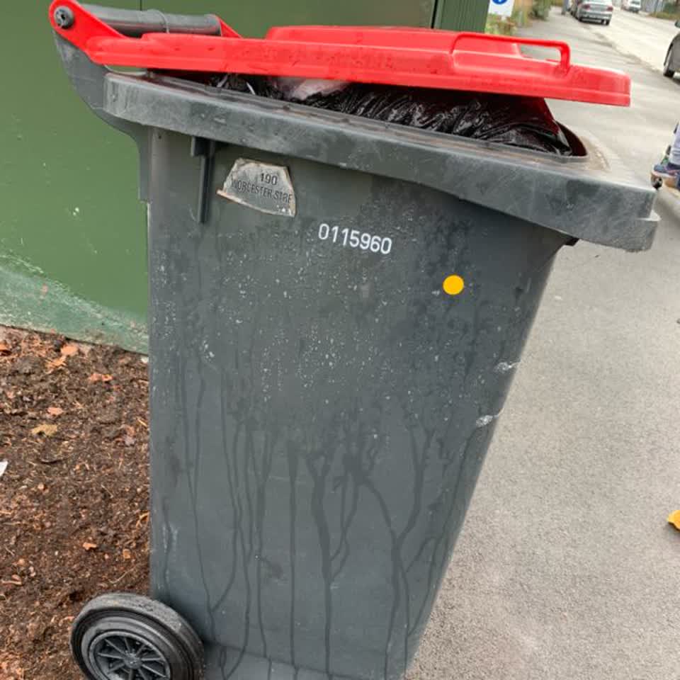 The photograph attached to this rubbish/recycling report