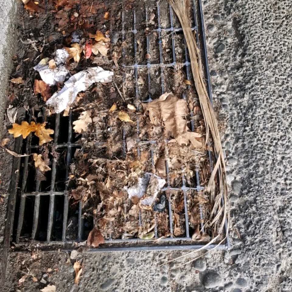 The photograph attached to this wastewater/stormwater report
