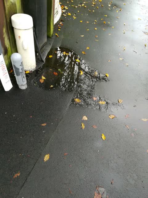Water Supply, a report photo