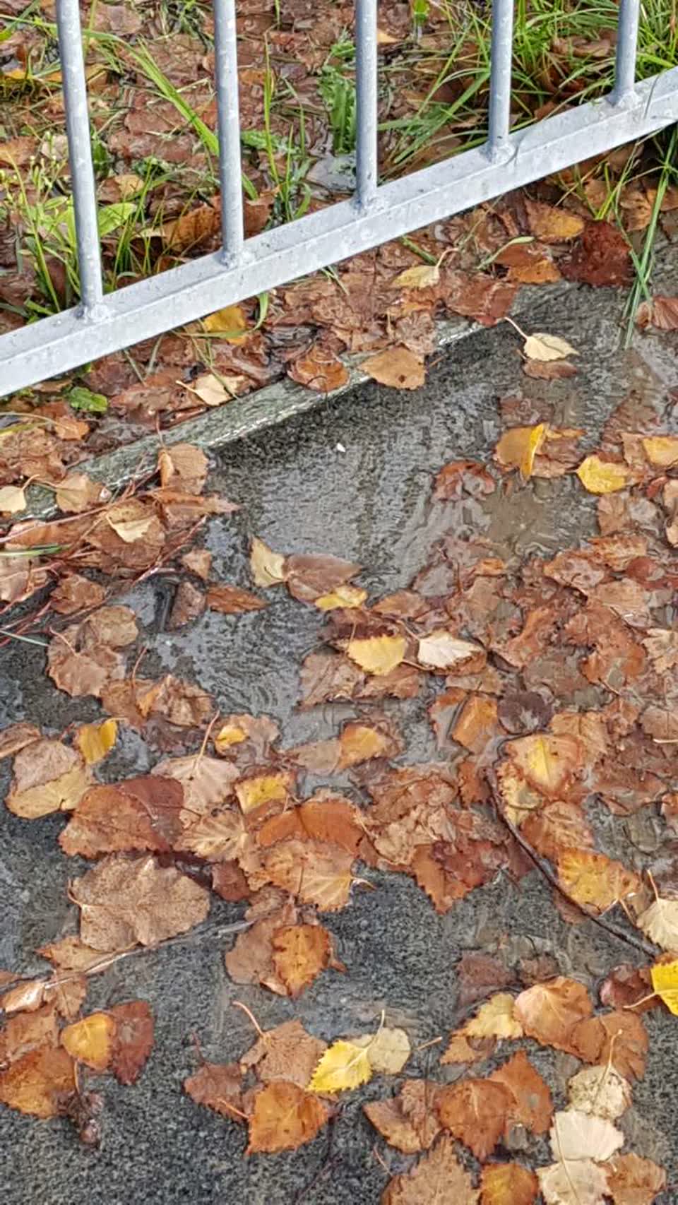 The photograph attached to this water supply report