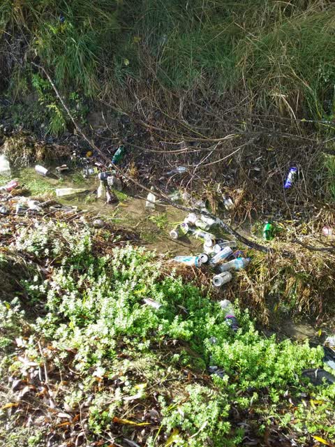 Roading/Streets, a report photo