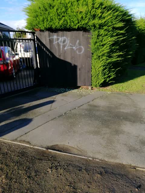 Graffiti, a report photo
