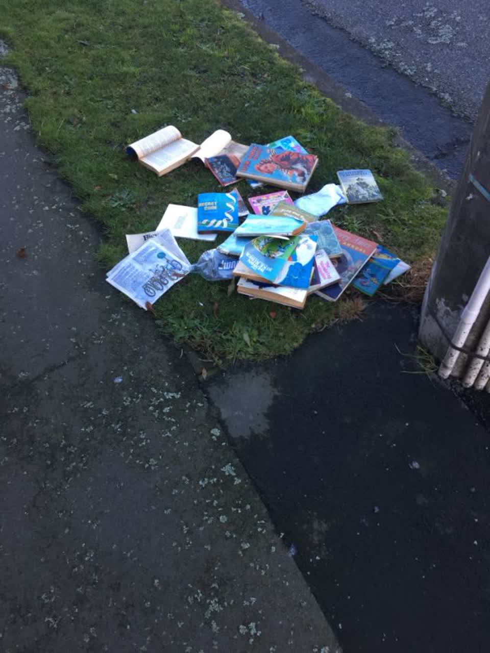 The photograph attached to this rubbish/recycling report