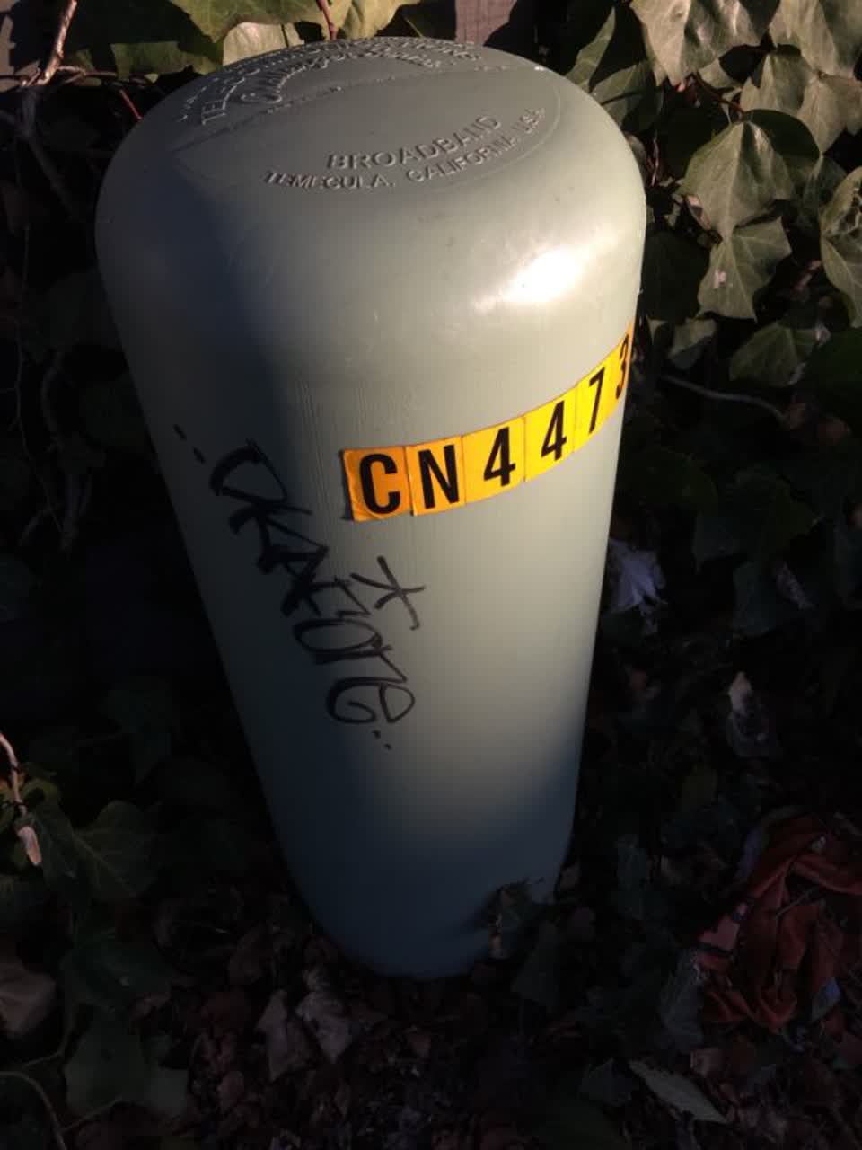 The photograph attached to this graffiti report
