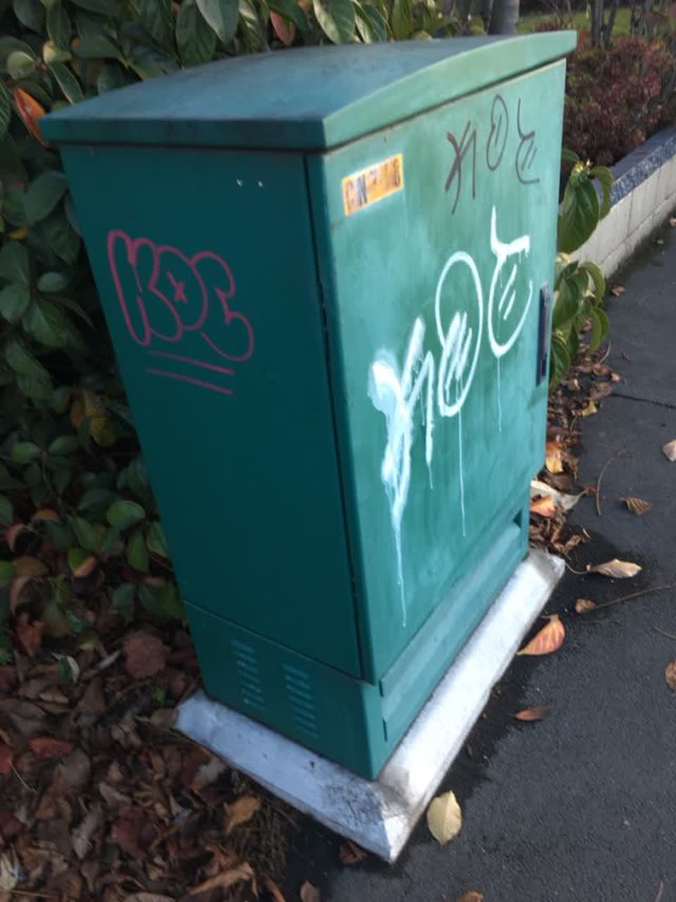 The photograph attached to this graffiti report