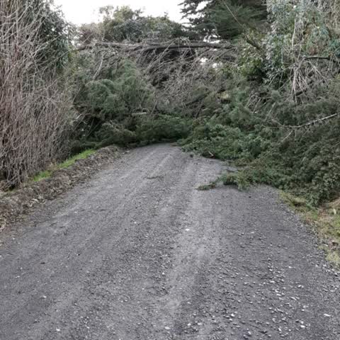 Roading/Streets, a report photo