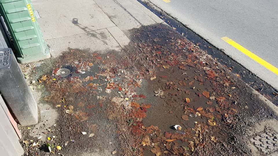 The photograph attached to this water supply report