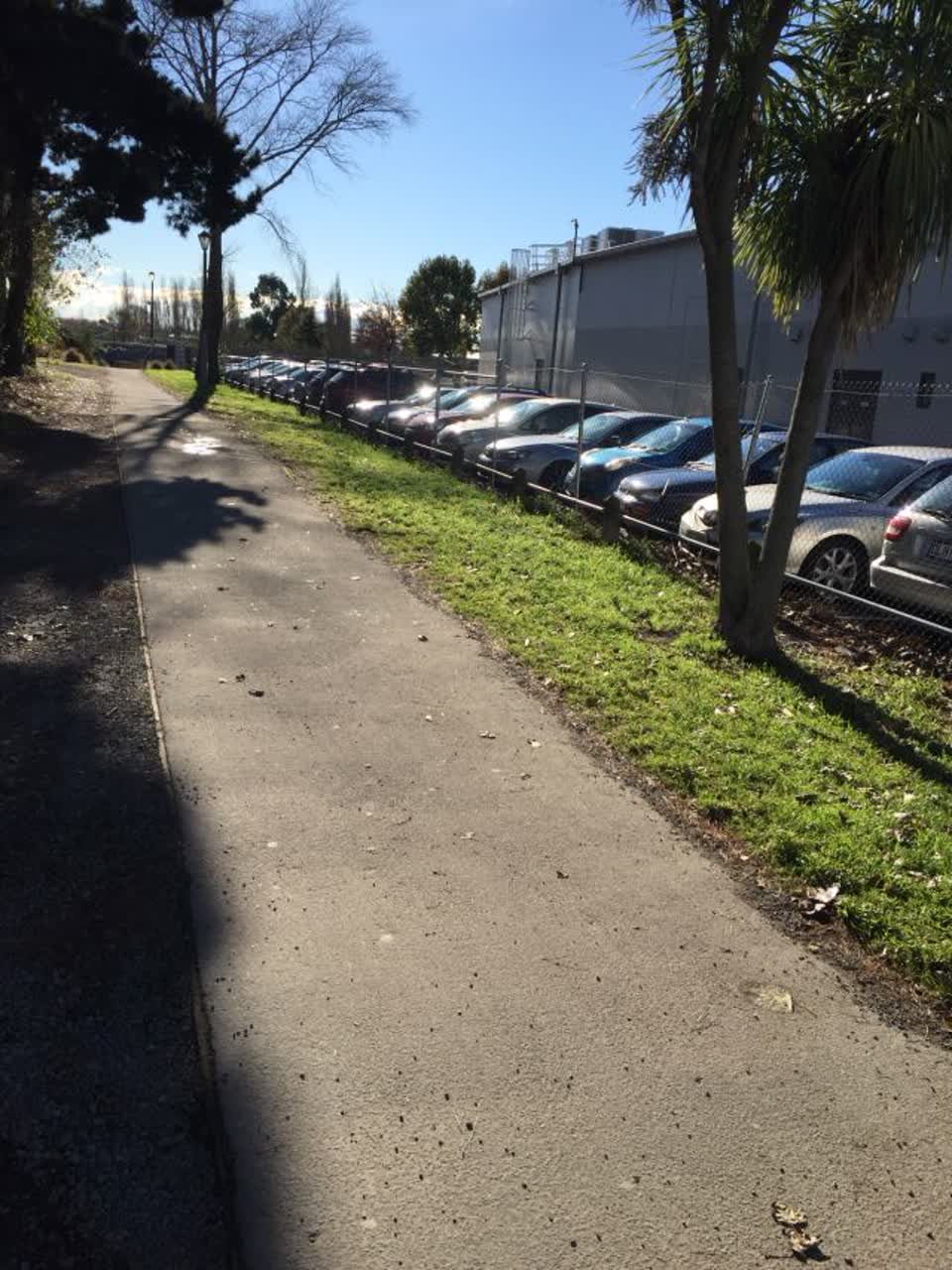 The photograph attached to this parks report
