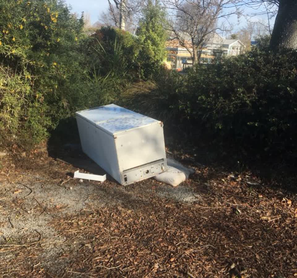 The photograph attached to this parks report
