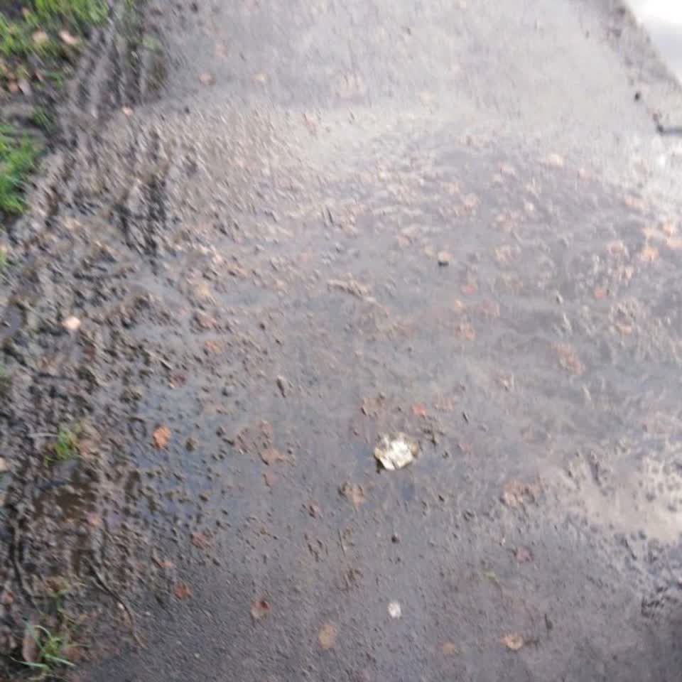 The photograph attached to this flooding report