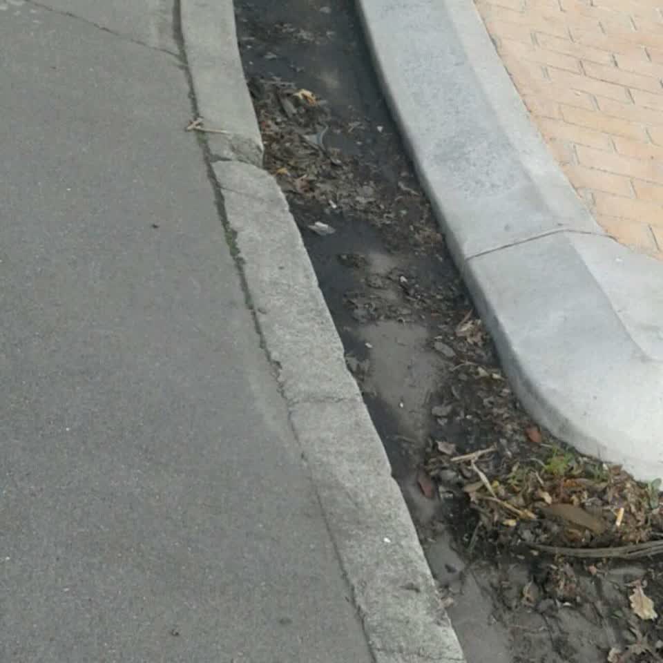 The photograph attached to this flooding report