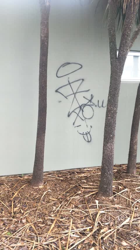Graffiti, a report photo