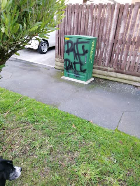Graffiti — a report photo