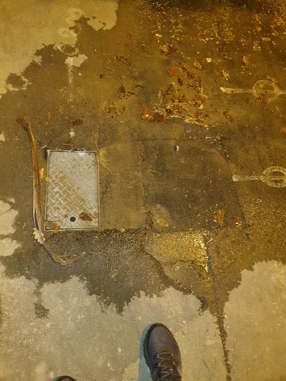 The photograph attached to this water supply report