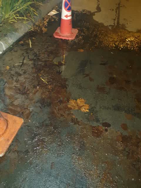 Water Supply, a report photo