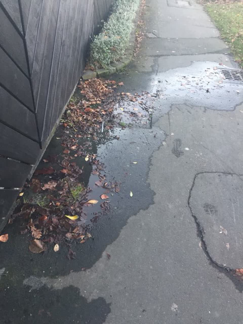 The photograph attached to this water supply report