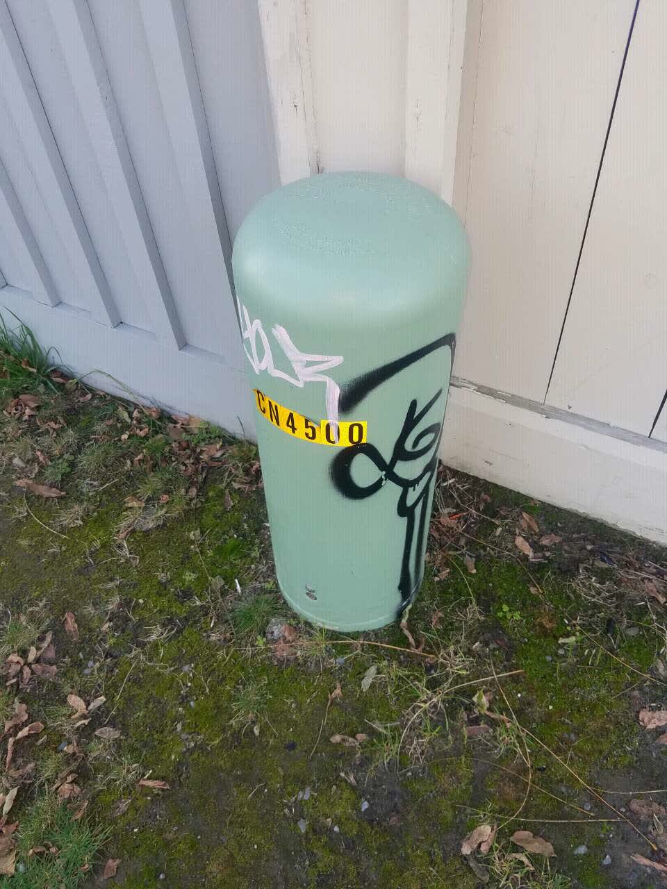 The photograph attached to this graffiti report