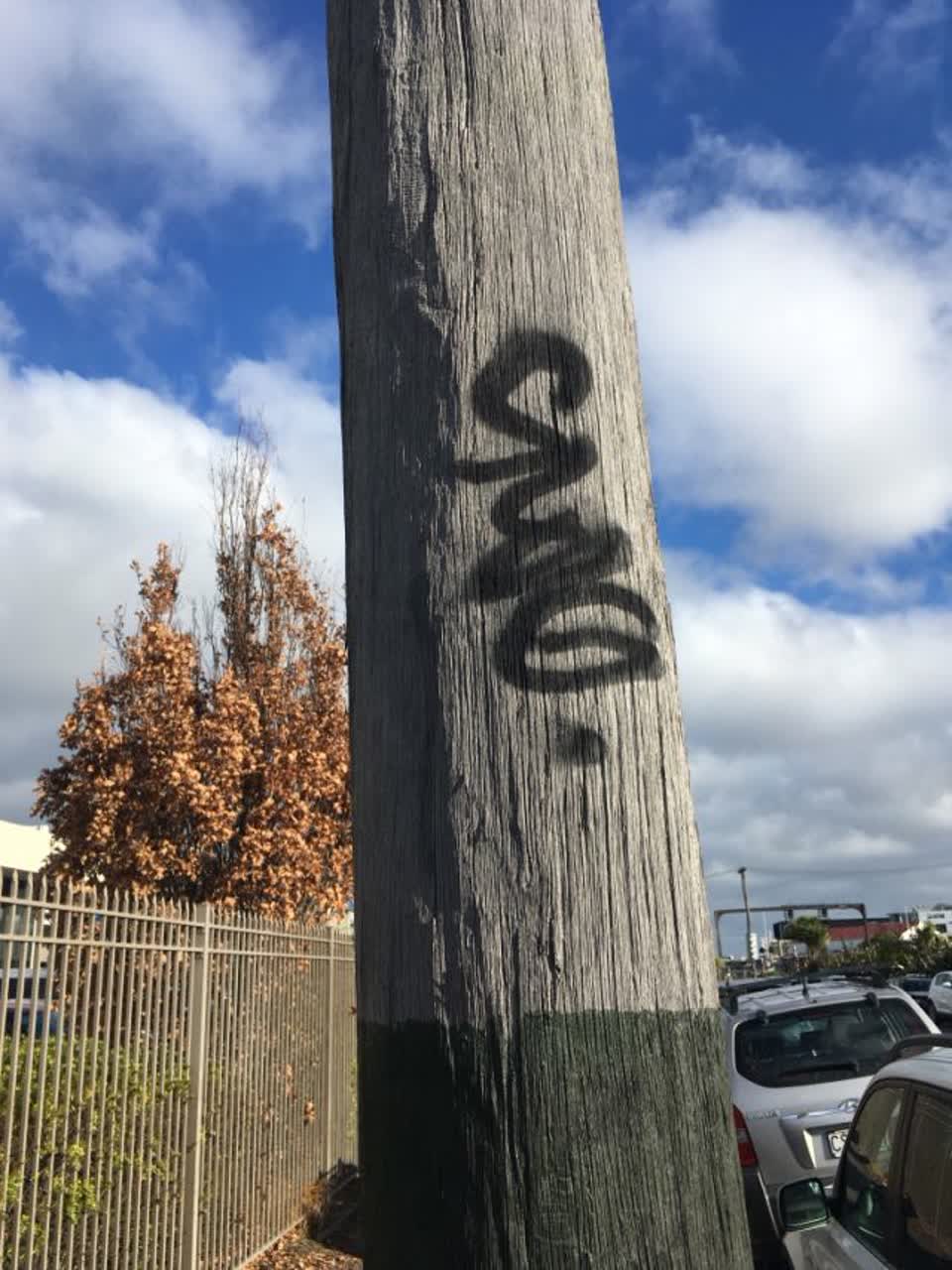 The photograph attached to this graffiti report