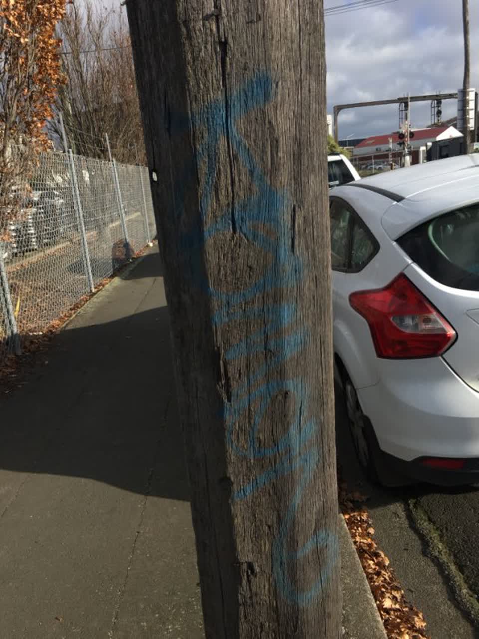 The photograph attached to this graffiti report
