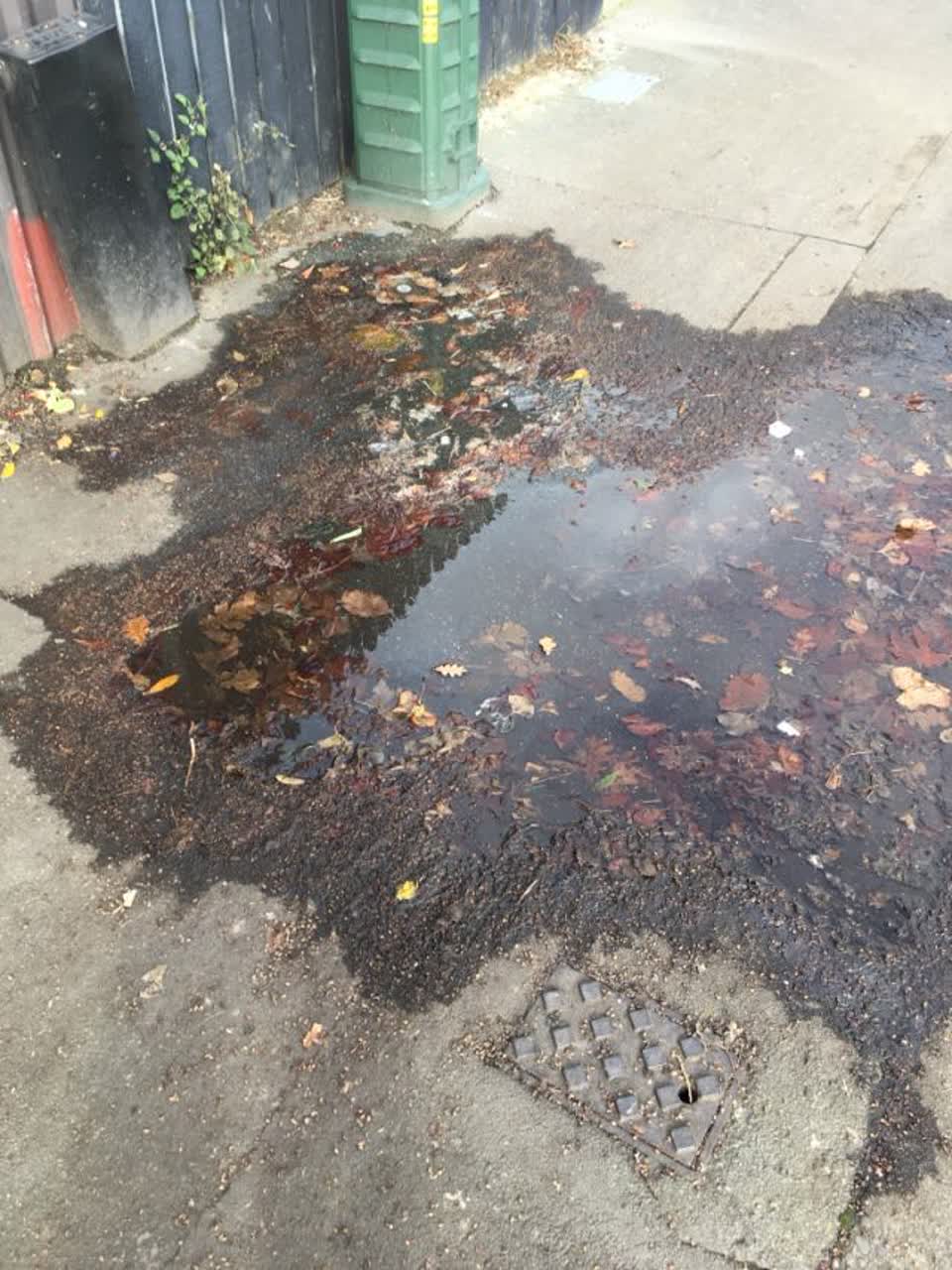 The photograph attached to this roading/streets report