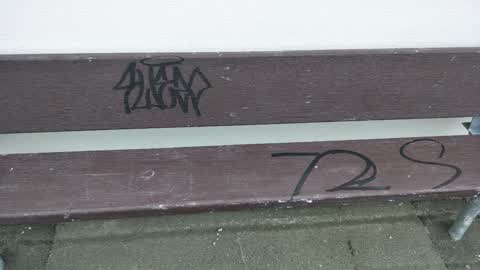 Graffiti, a report photo