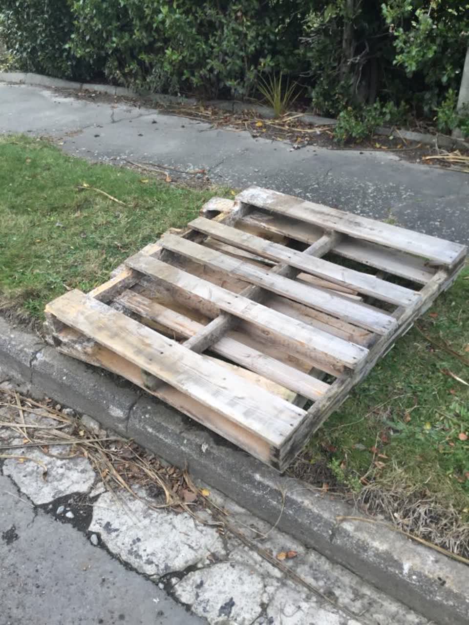The photograph attached to this rubbish/recycling report