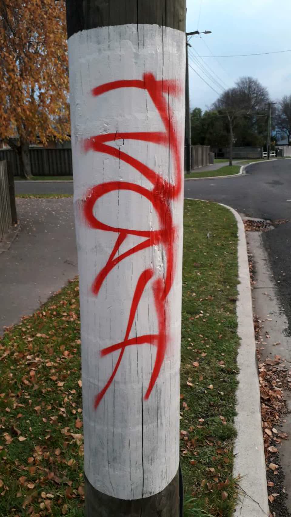 The photograph attached to this graffiti report