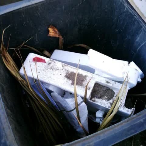 Rubbish/Recycling, a report photo