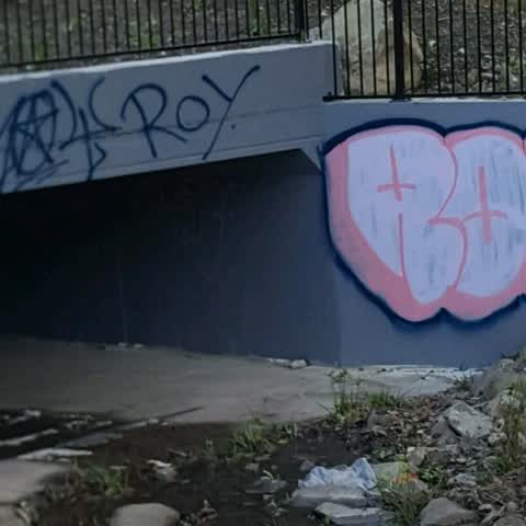 Graffiti, a report photo