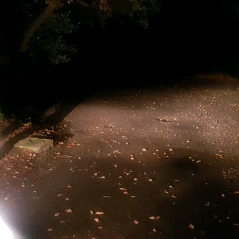 Parks, a report photo