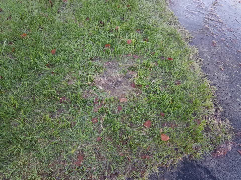 The photograph attached to this water supply report
