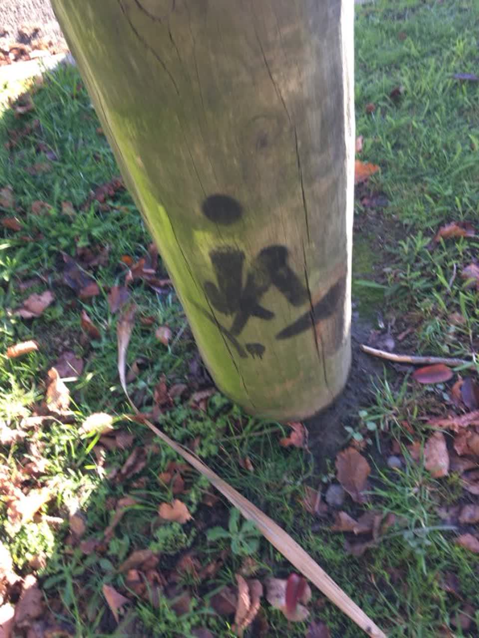 The photograph attached to this graffiti report