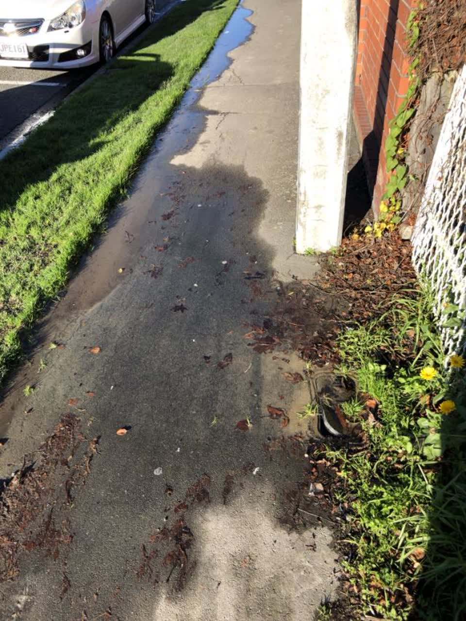 The photograph attached to this flooding report