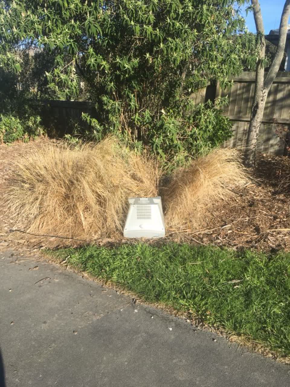 The photograph attached to this parks report