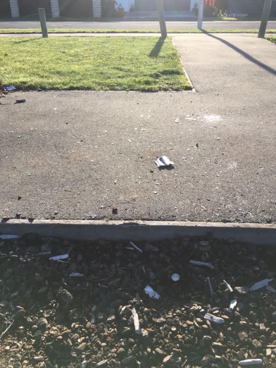 The photograph attached to this parks report